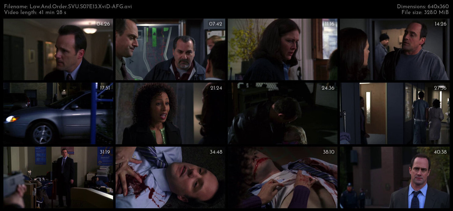 Law And Order SVU S07E13 XviD AFG TGx