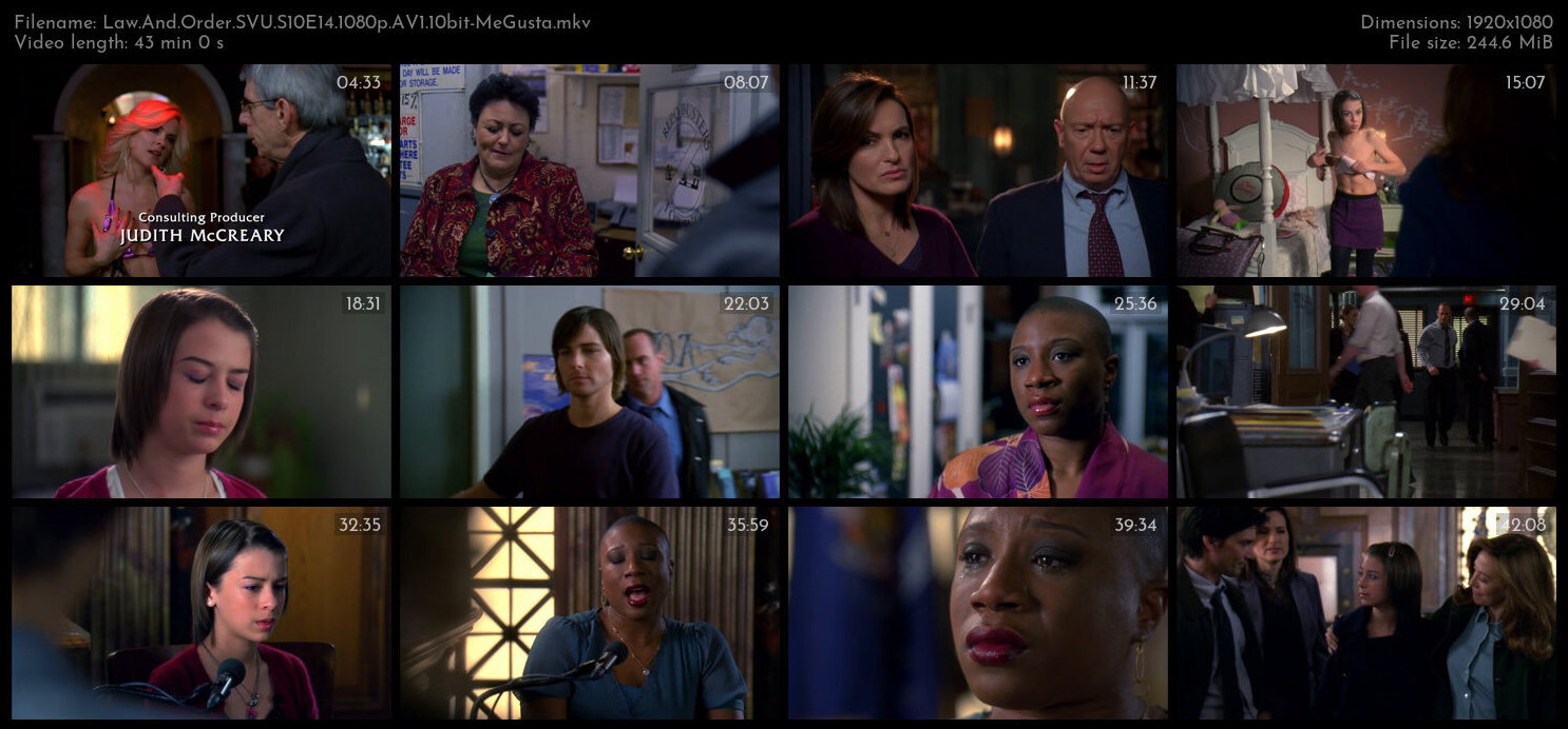 Law And Order SVU S10E14 1080p AV1 10bit MeGusta TGx