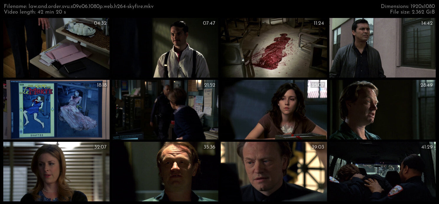 Law And Order SVU S09E06 1080p WEB H264 SKYFiRE TGx