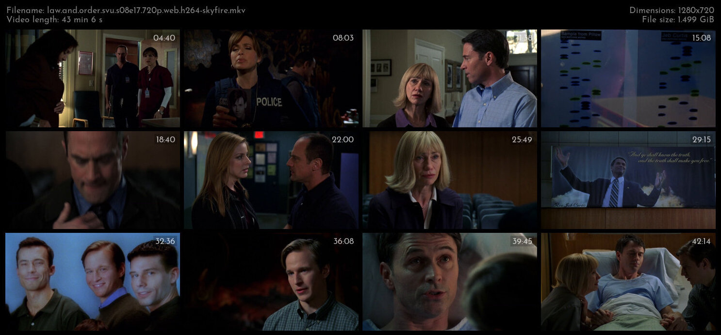 Law And Order SVU S08E17 720p WEB H264 SKYFiRE TGx