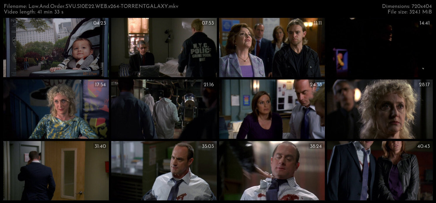 Law And Order SVU S10E22 WEB x264 TORRENTGALAXY