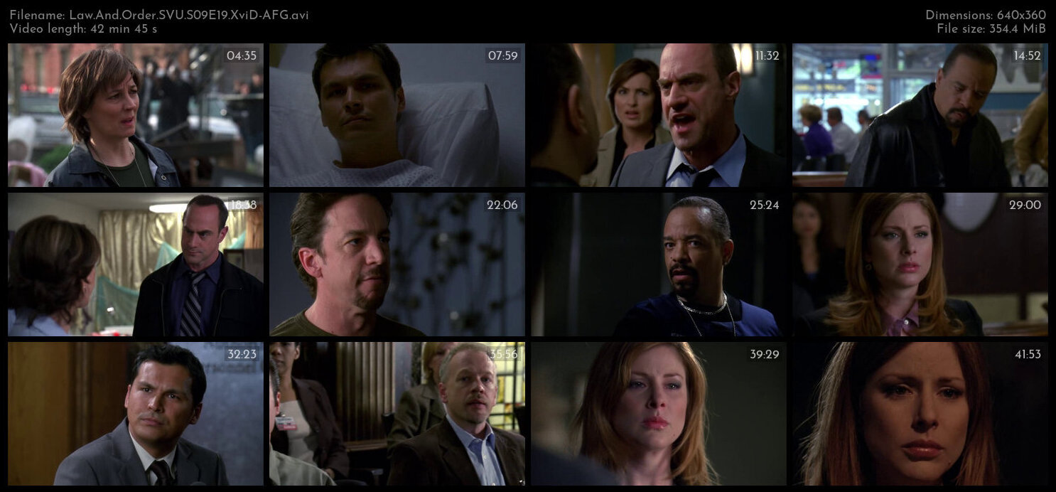 Law And Order SVU S09E19 XviD AFG TGx