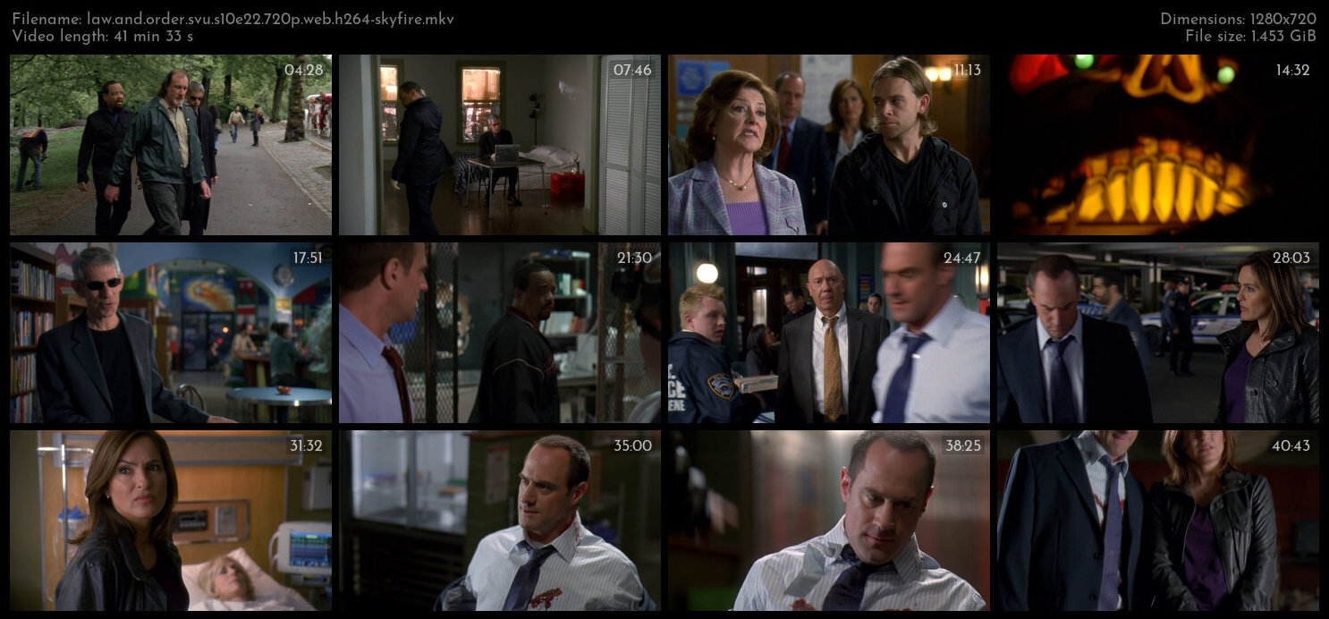 Law And Order SVU S10E22 720p WEB H264 SKYFiRE TGx