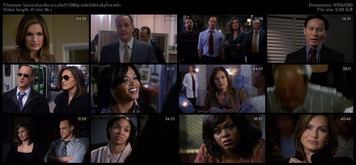 Law And Order SVU S11E17 1080p WEB H264 SKYFiRE TGx