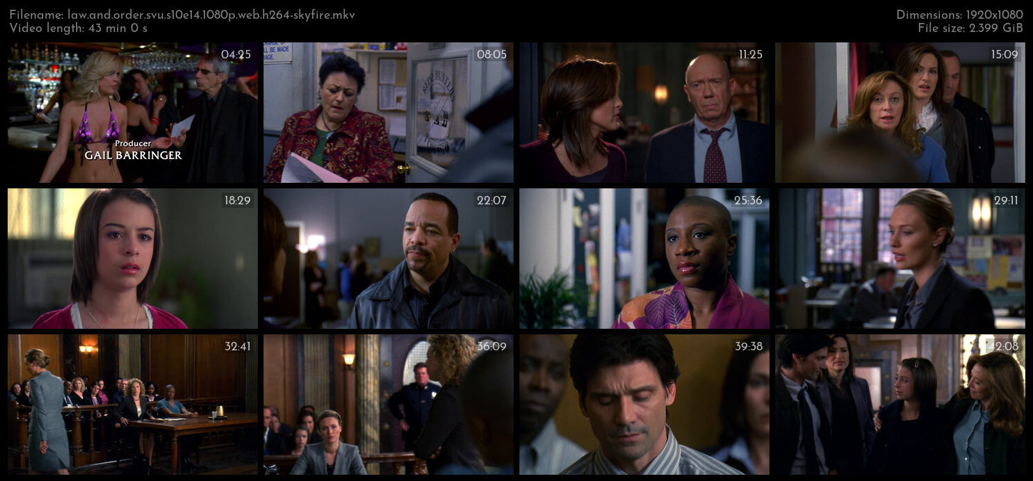 Law And Order SVU S10E14 1080p WEB H264 SKYFiRE TGx