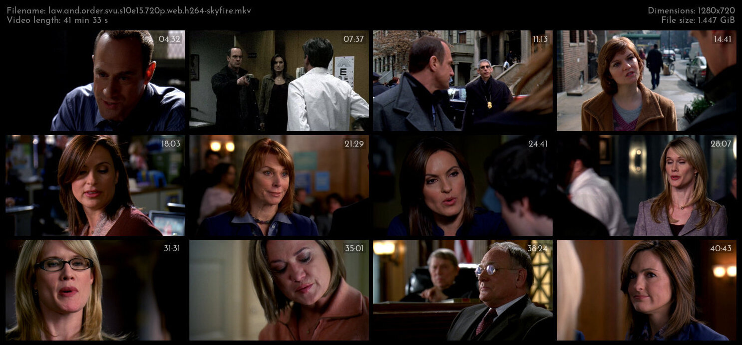 Law And Order SVU S10E15 720p WEB H264 SKYFiRE TGx