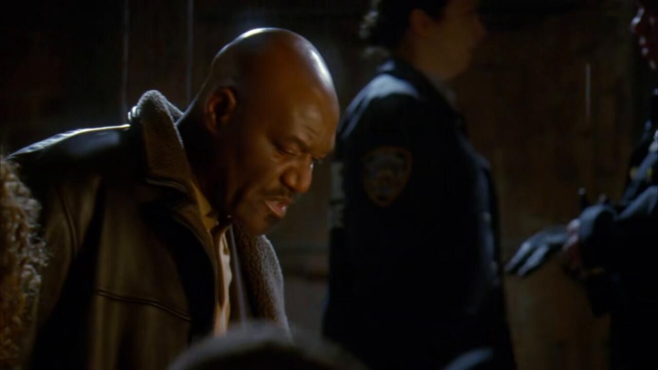 Law And Order SVU S10E18 720p WEB x265 MiNX TGx