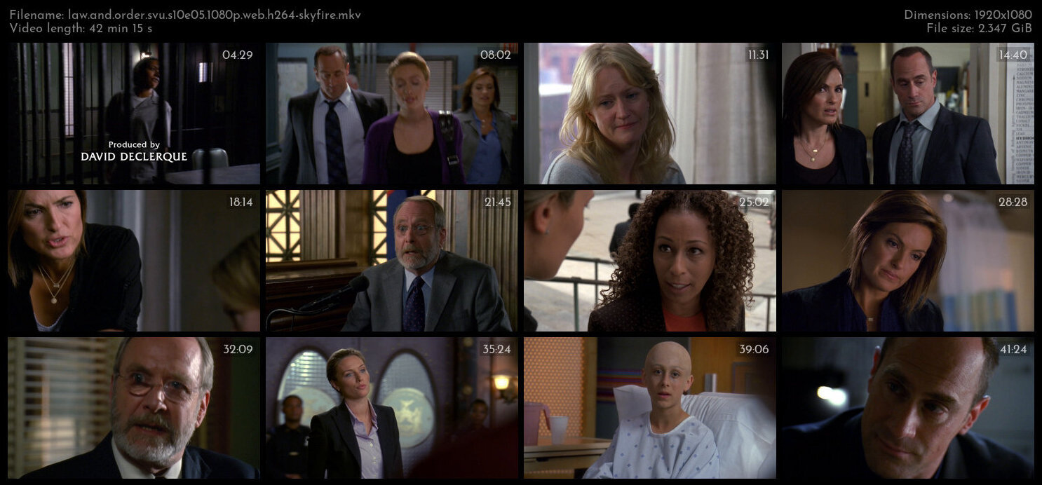 Law And Order SVU S10E05 1080p WEB H264 SKYFiRE TGx