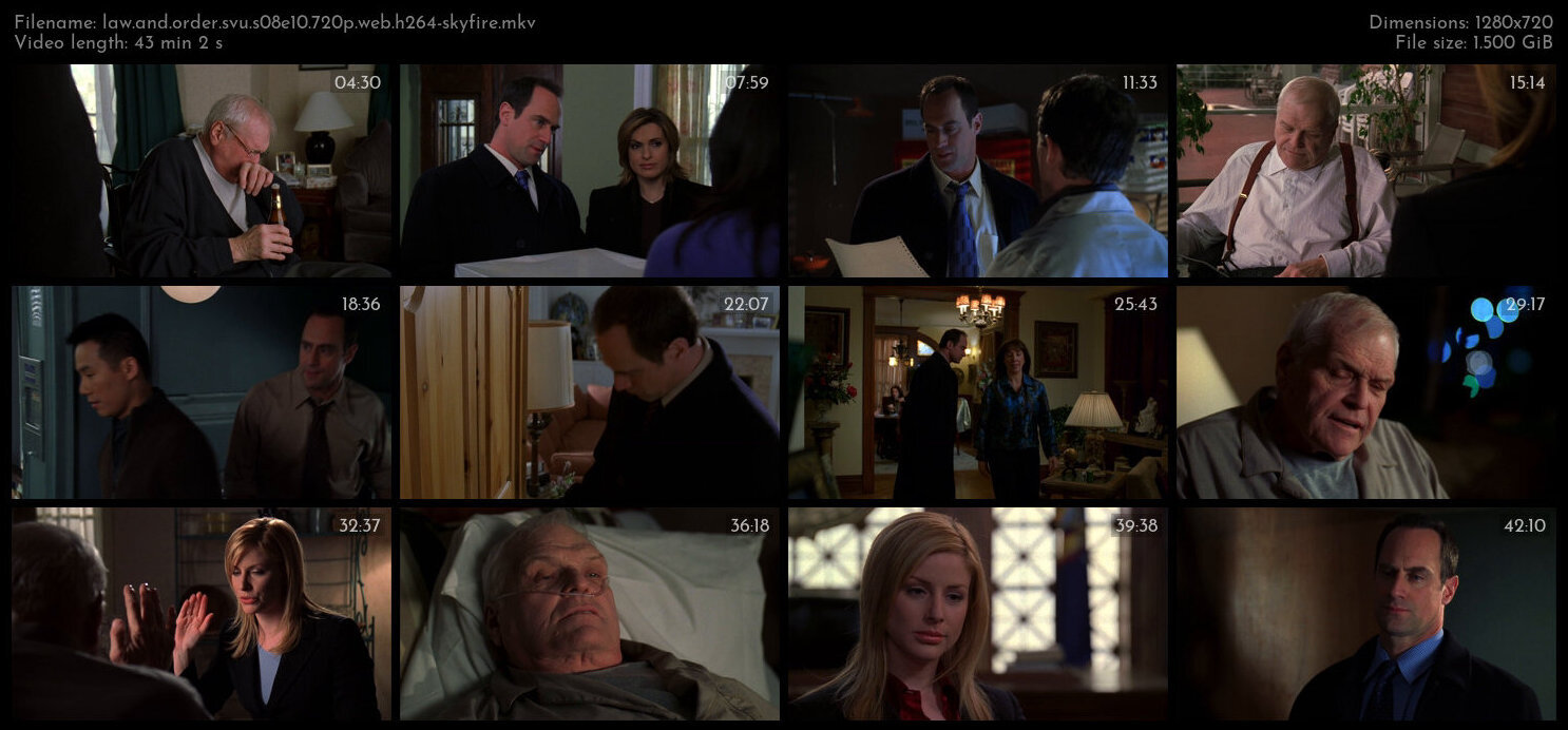 Law And Order SVU S08E10 720p WEB H264 SKYFiRE TGx