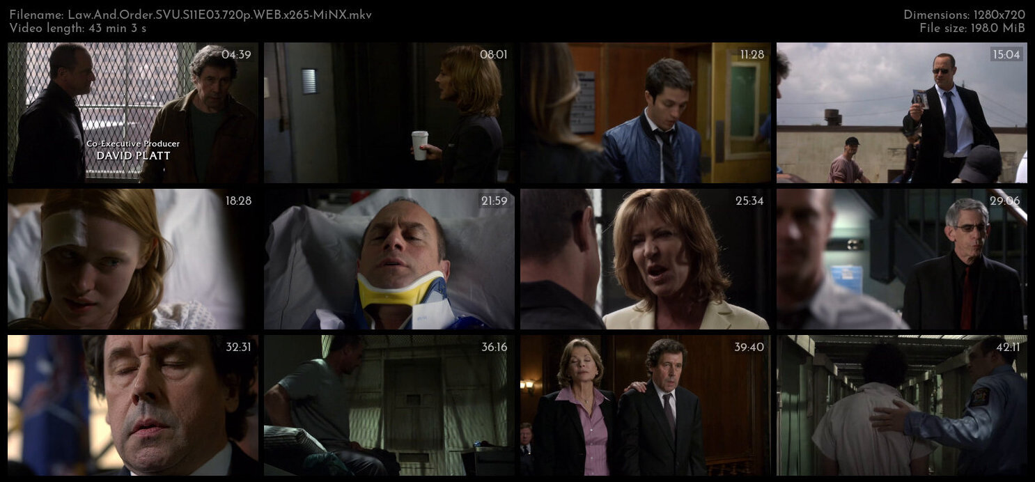 Law And Order SVU S11E03 720p WEB x265 MiNX TGx