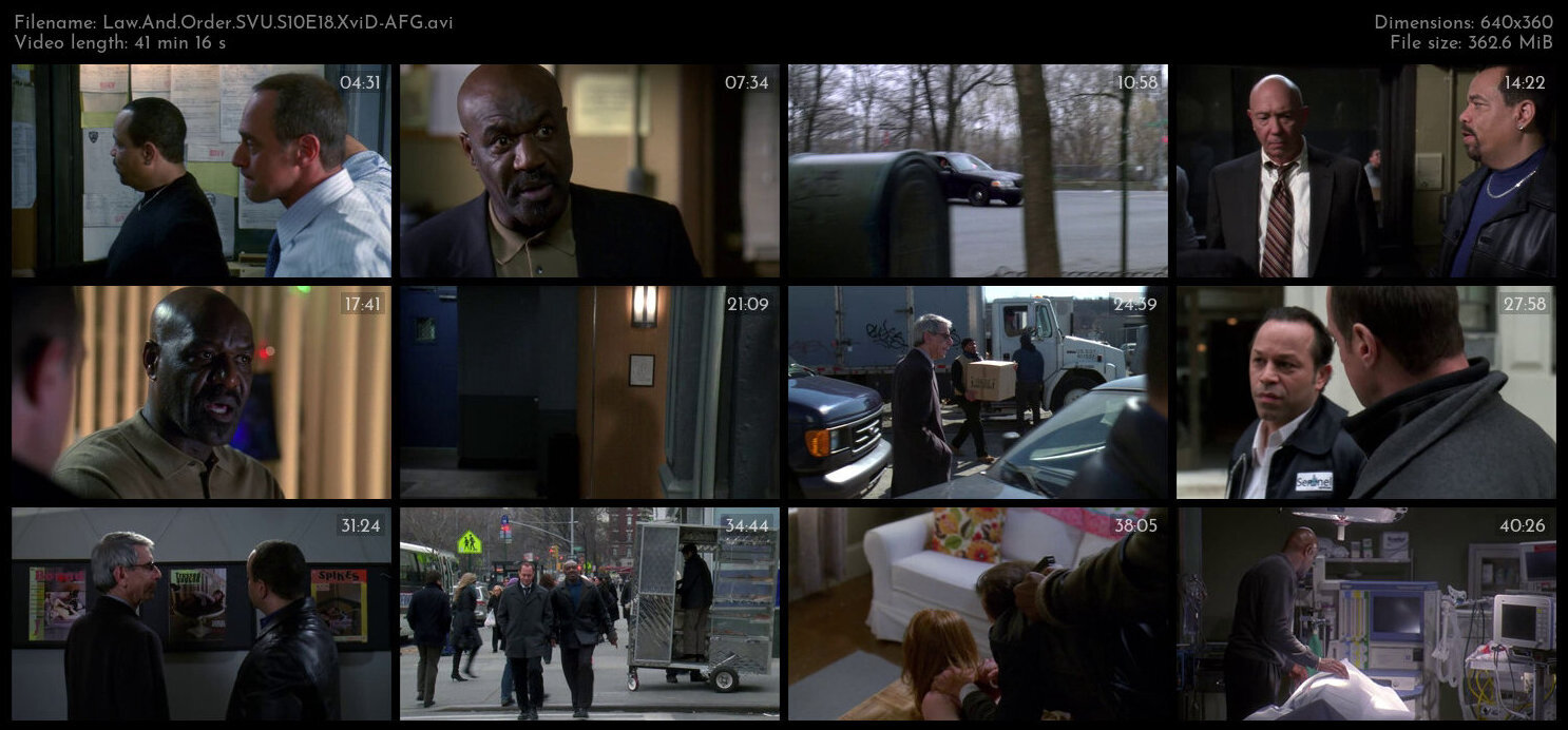 Law And Order SVU S10E18 XviD AFG TGx