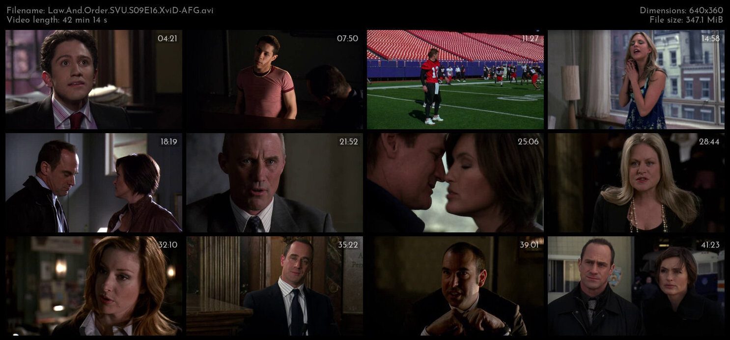 Law And Order SVU S09E16 XviD AFG TGx