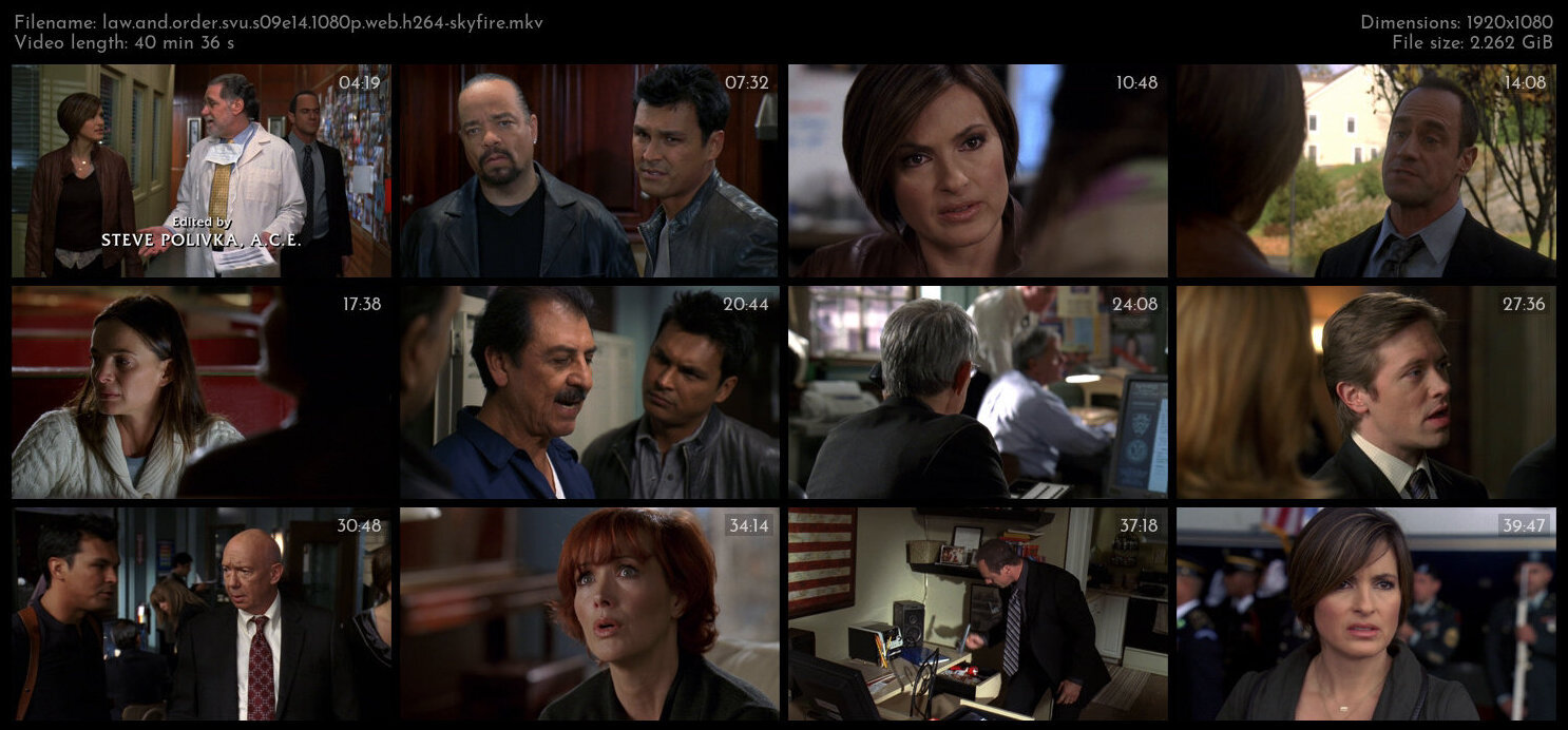 Law And Order SVU S09E14 1080p WEB H264 SKYFiRE TGx