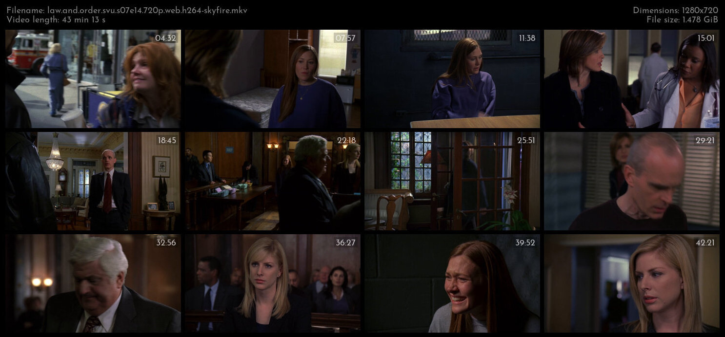 Law And Order SVU S07E14 720p WEB H264 SKYFiRE TGx