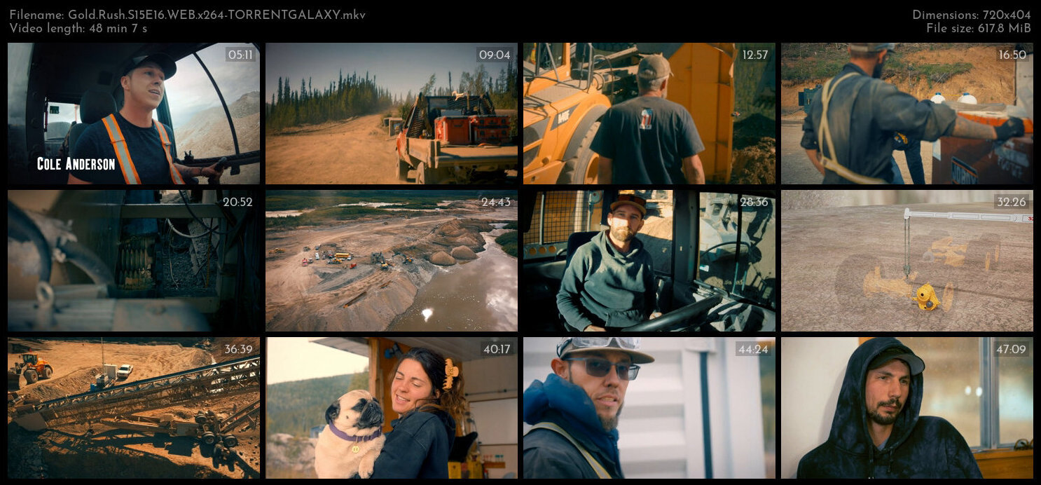 Gold Rush S15E16 WEB x264 TORRENTGALAXY