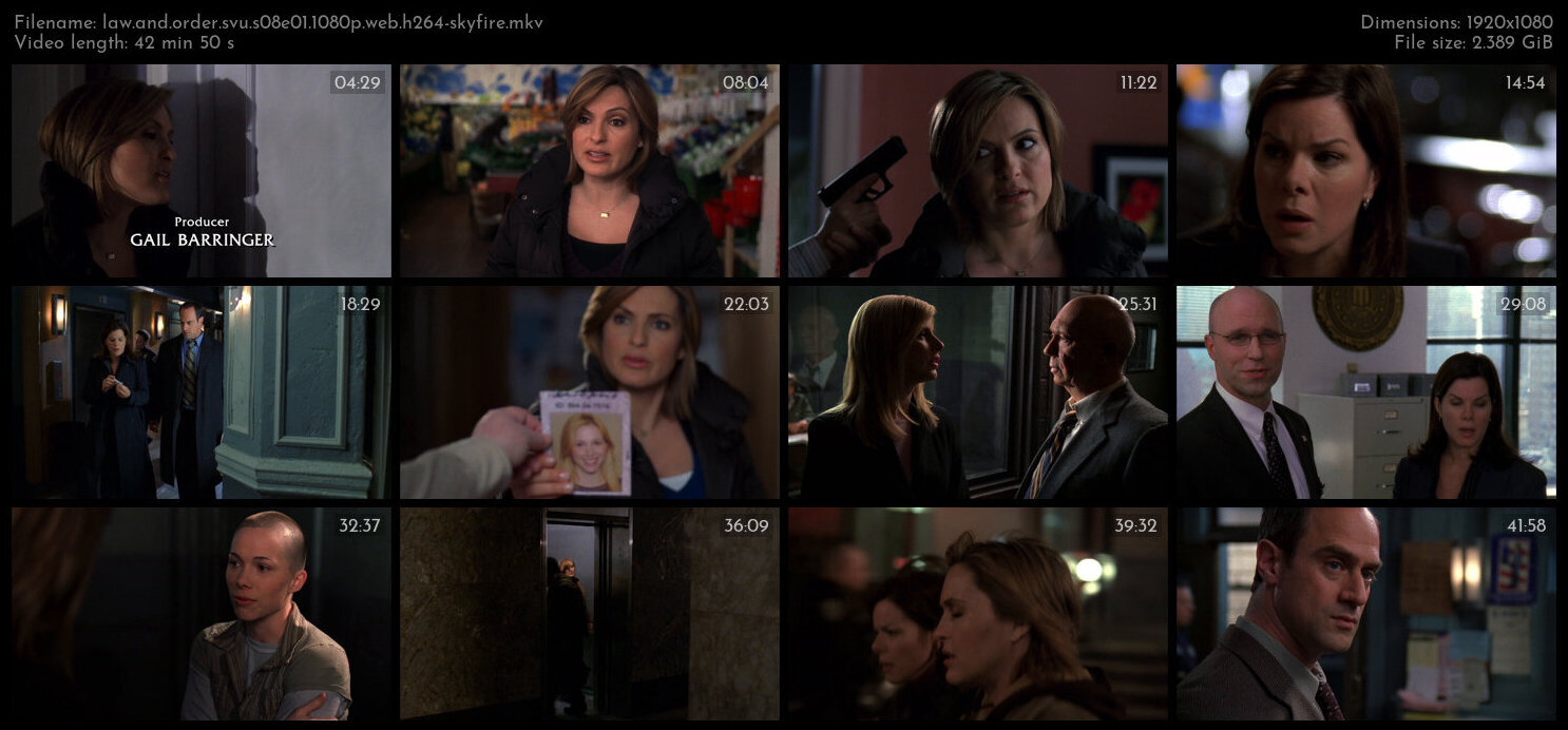 Law And Order SVU S08E01 1080p WEB H264 SKYFiRE TGx