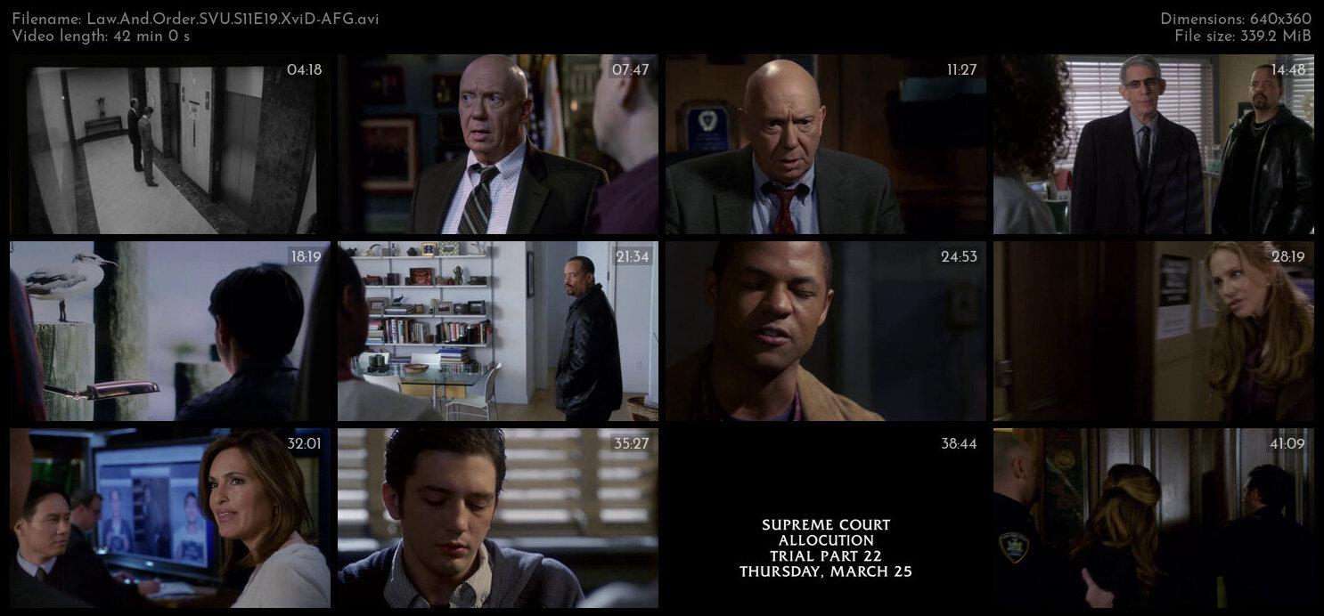 Law And Order SVU S11E19 XviD AFG TGx