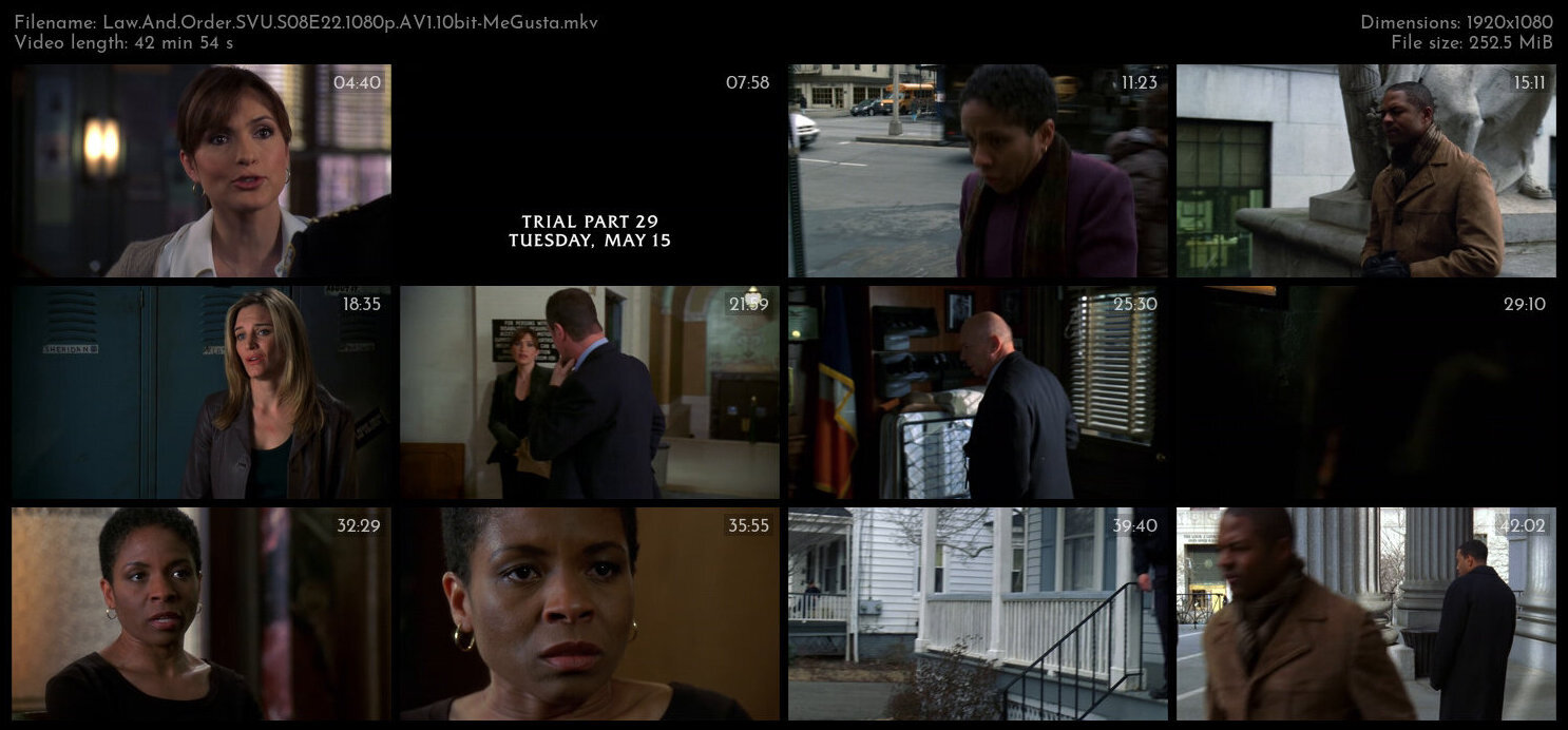 Law And Order SVU S08E22 1080p AV1 10bit MeGusta TGx