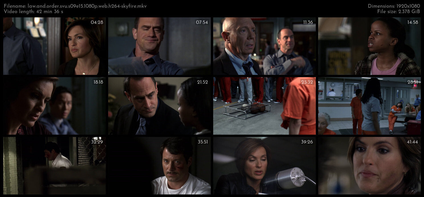 Law And Order SVU S09E15 1080p WEB H264 SKYFiRE TGx