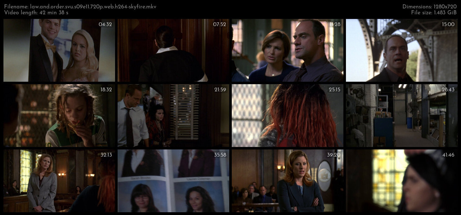 Law And Order SVU S09E11 720p WEB H264 SKYFiRE TGx