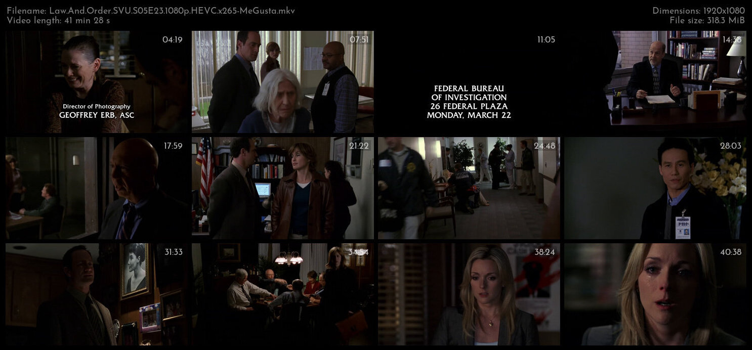 Law And Order SVU S05E23 1080p HEVC x265 MeGusta TGx