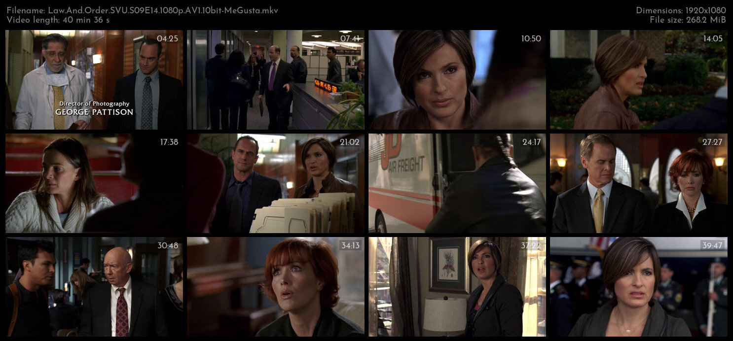 Law And Order SVU S09E14 1080p AV1 10bit MeGusta TGx