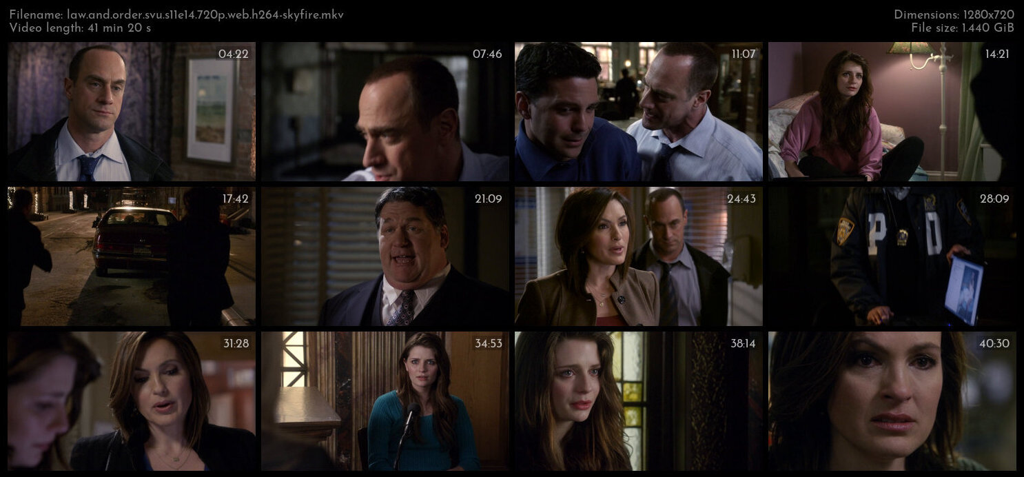 Law And Order SVU S11E14 720p WEB H264 SKYFiRE TGx