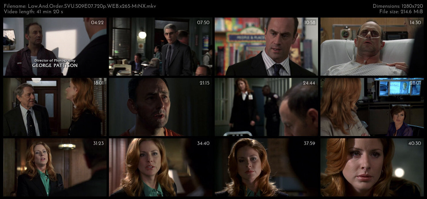 Law And Order SVU S09E07 720p WEB x265 MiNX TGx