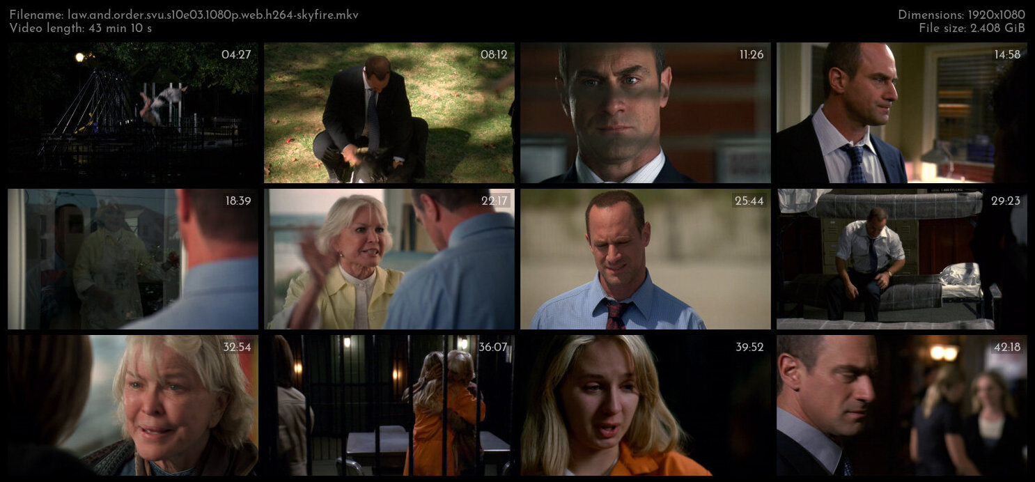 Law And Order SVU S10E03 1080p WEB H264 SKYFiRE TGx