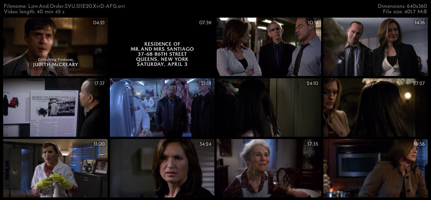 Law And Order SVU S11E20 XviD AFG TGx