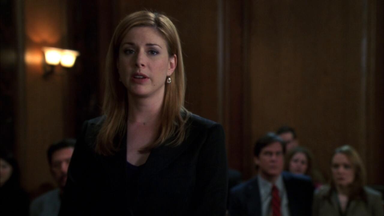 Law And Order SVU S08E21 720p WEB H264 SKYFiRE TGx