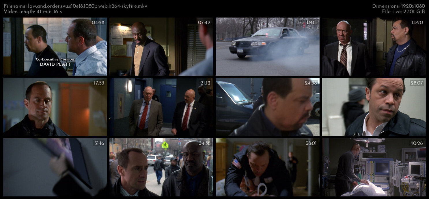 Law And Order SVU S10E18 1080p WEB H264 SKYFiRE TGx