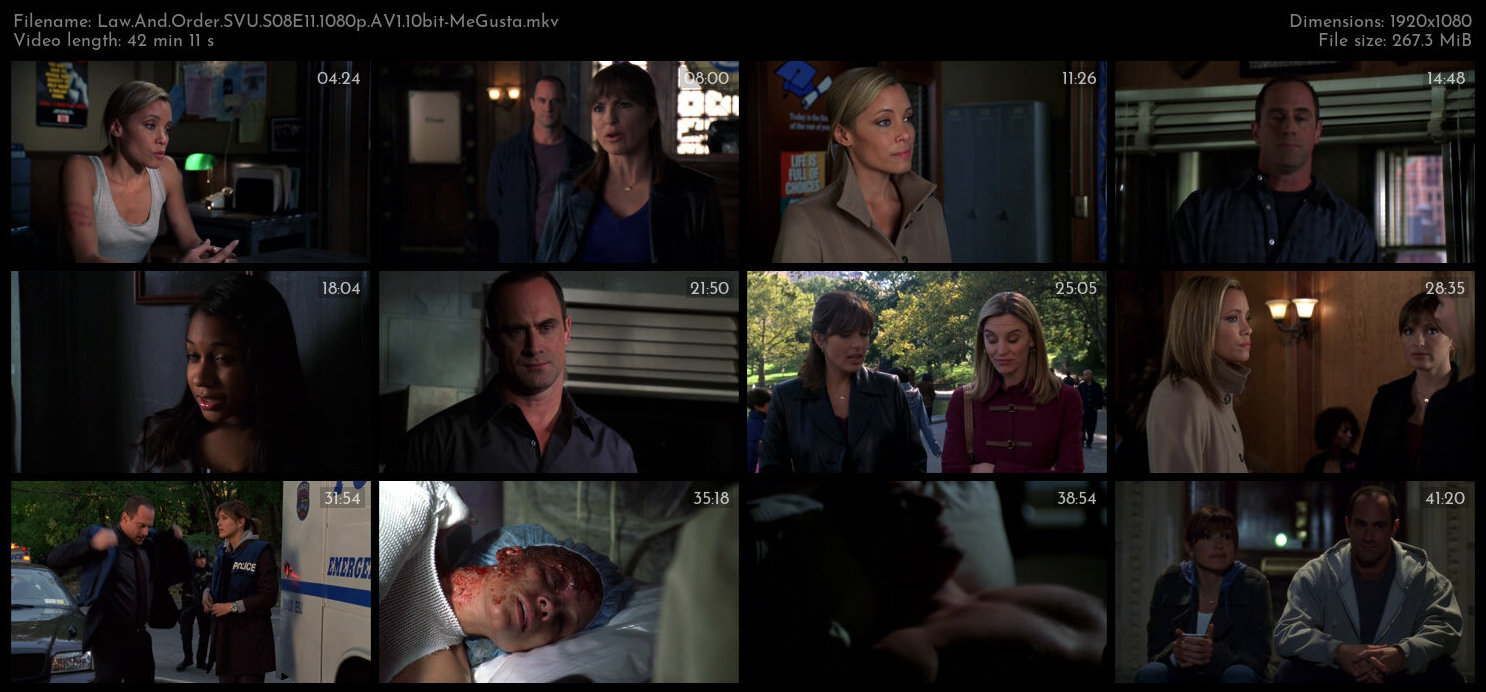 Law And Order SVU S08E11 1080p AV1 10bit MeGusta TGx