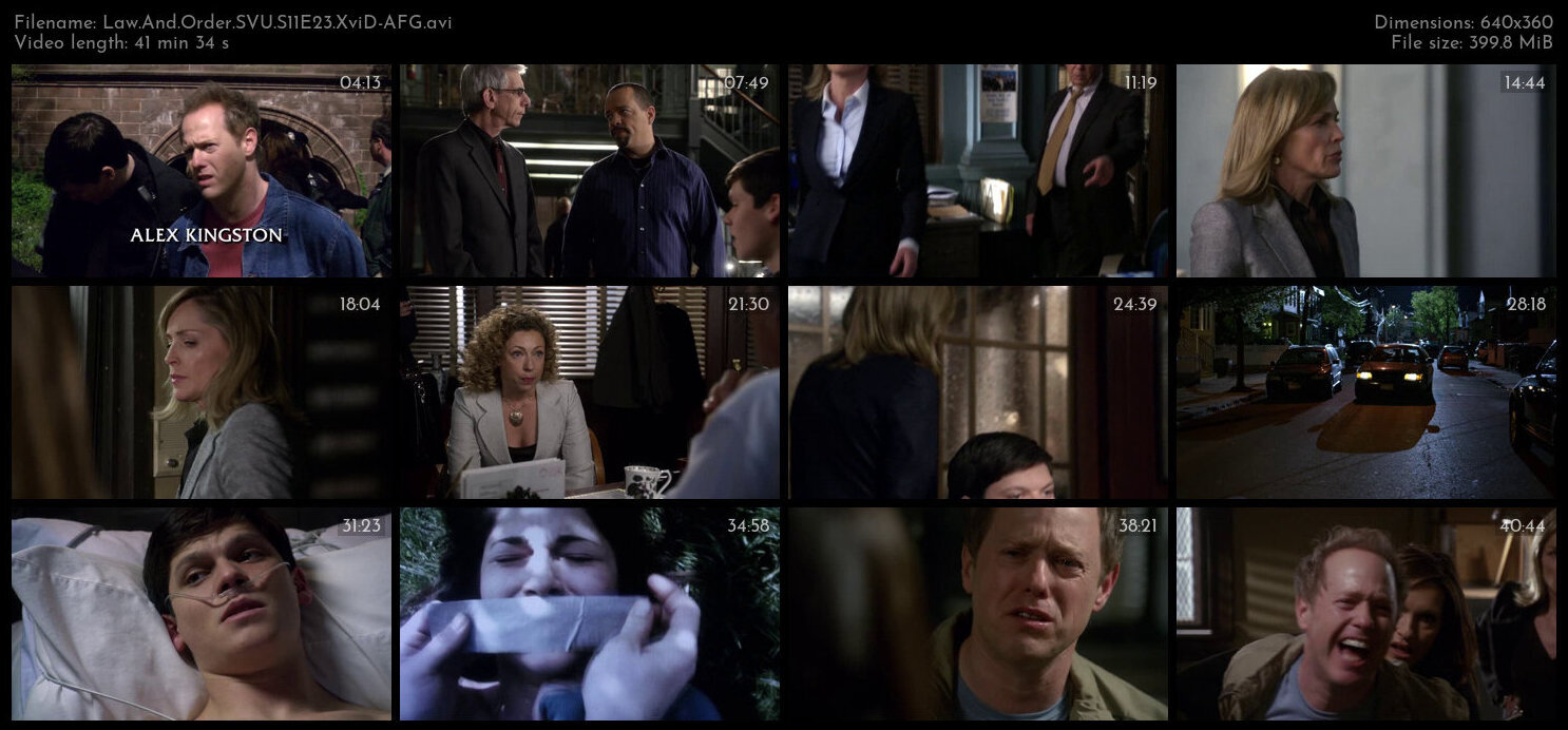 Law And Order SVU S11E23 XviD AFG TGx