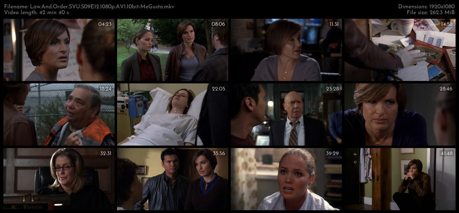 Law And Order SVU S09E12 1080p AV1 10bit MeGusta TGx