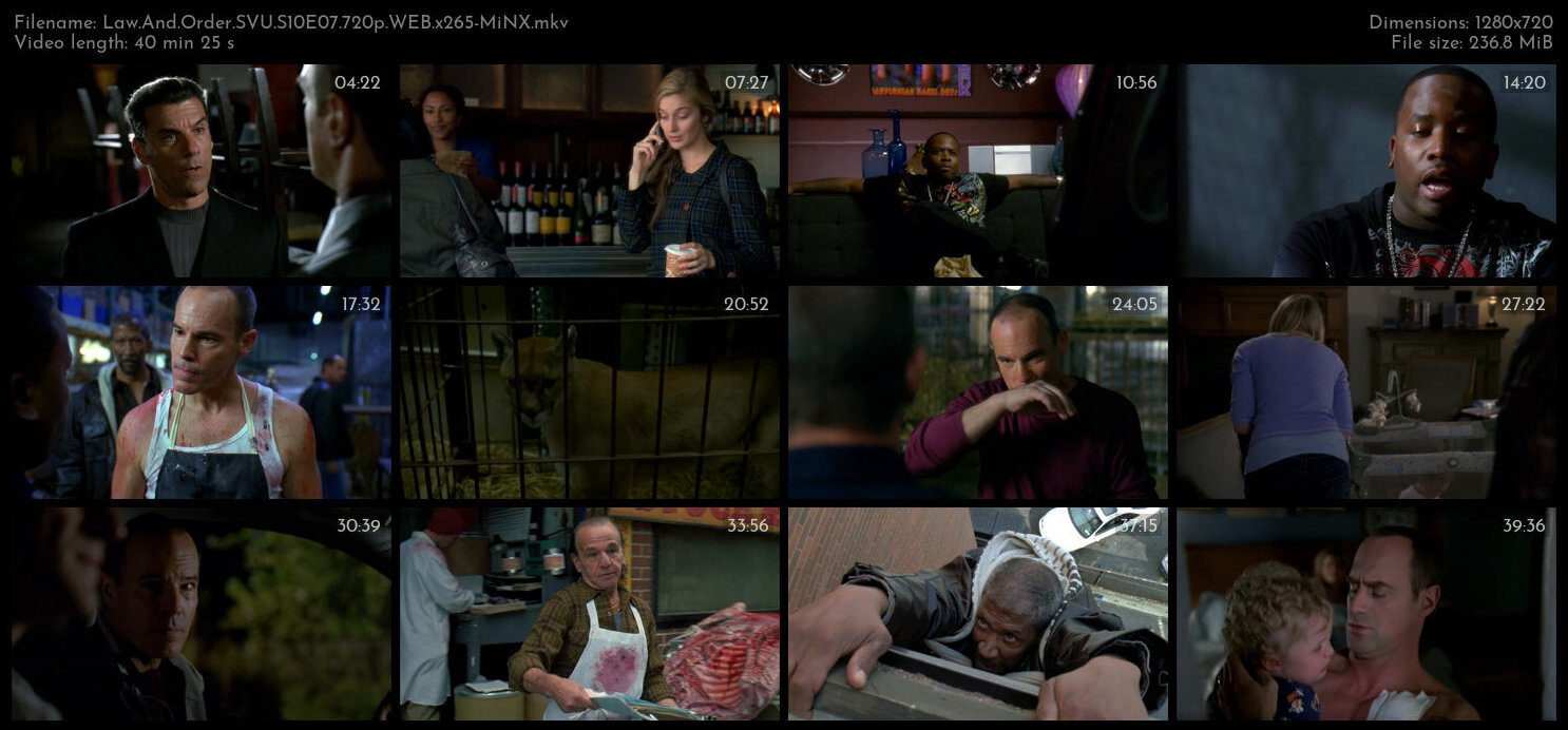 Law And Order SVU S10E07 720p WEB x265 MiNX TGx