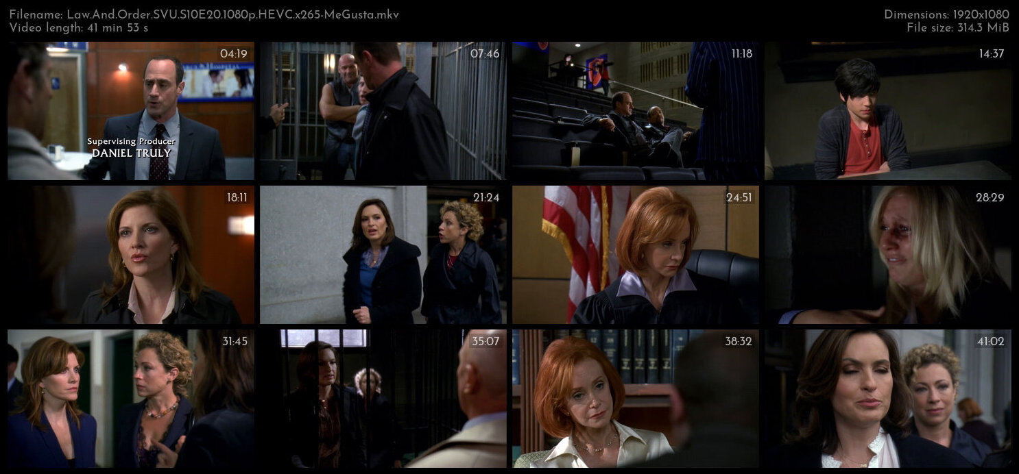 Law And Order SVU S10E20 1080p HEVC x265 MeGusta TGx