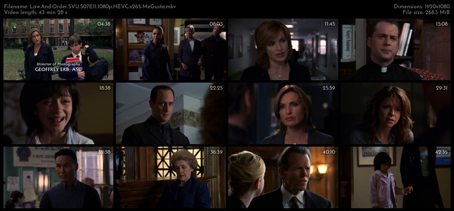 Law And Order SVU S07E11 1080p HEVC x265 MeGusta TGx