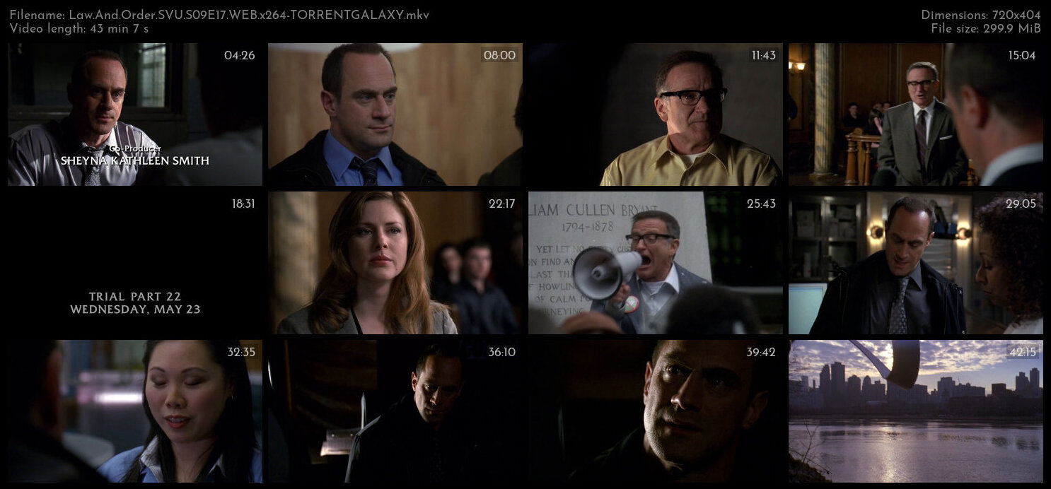 Law And Order SVU S09E17 WEB x264 TORRENTGALAXY