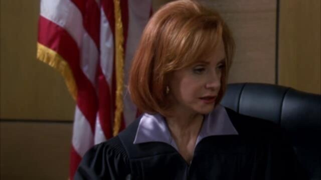 Law And Order SVU S10E20 XviD AFG TGx