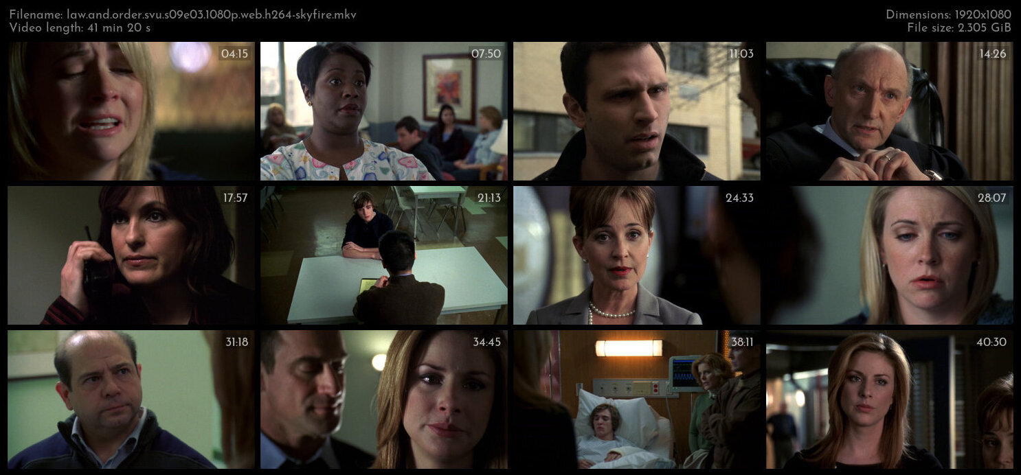 Law And Order SVU S09E03 1080p WEB H264 SKYFiRE TGx