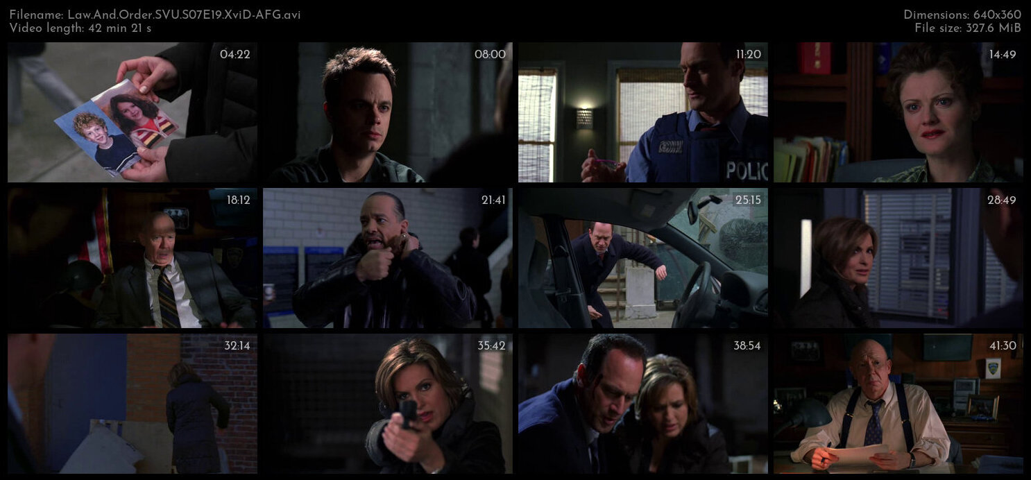 Law And Order SVU S07E19 XviD AFG TGx