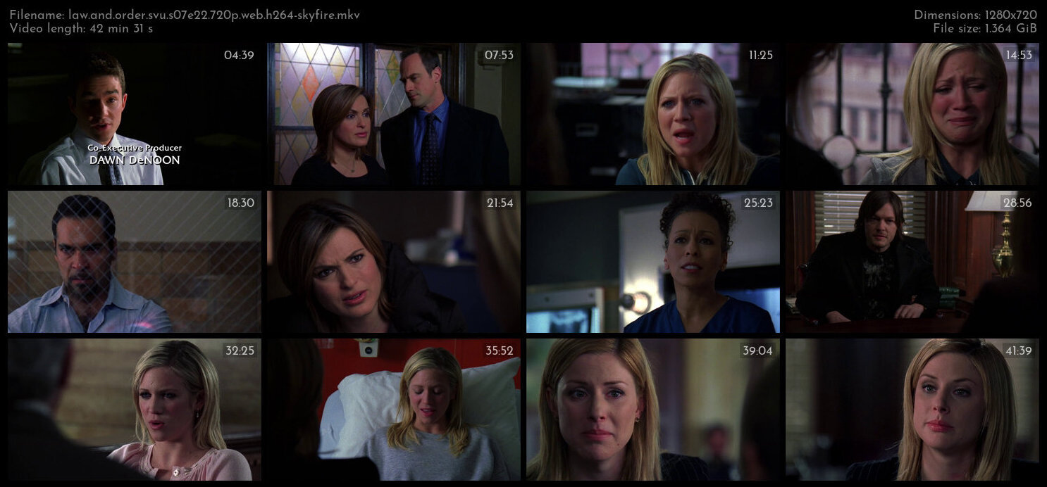 Law And Order SVU S07E22 720p WEB H264 SKYFiRE TGx