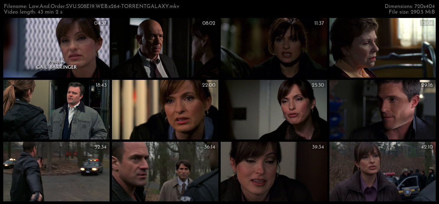 Law And Order SVU S08E19 WEB x264 TORRENTGALAXY