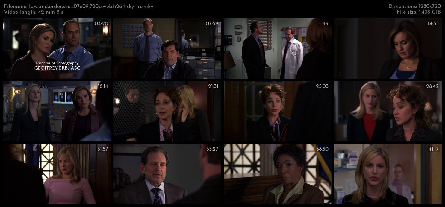 Law And Order SVU S07E09 720p WEB H264 SKYFiRE TGx