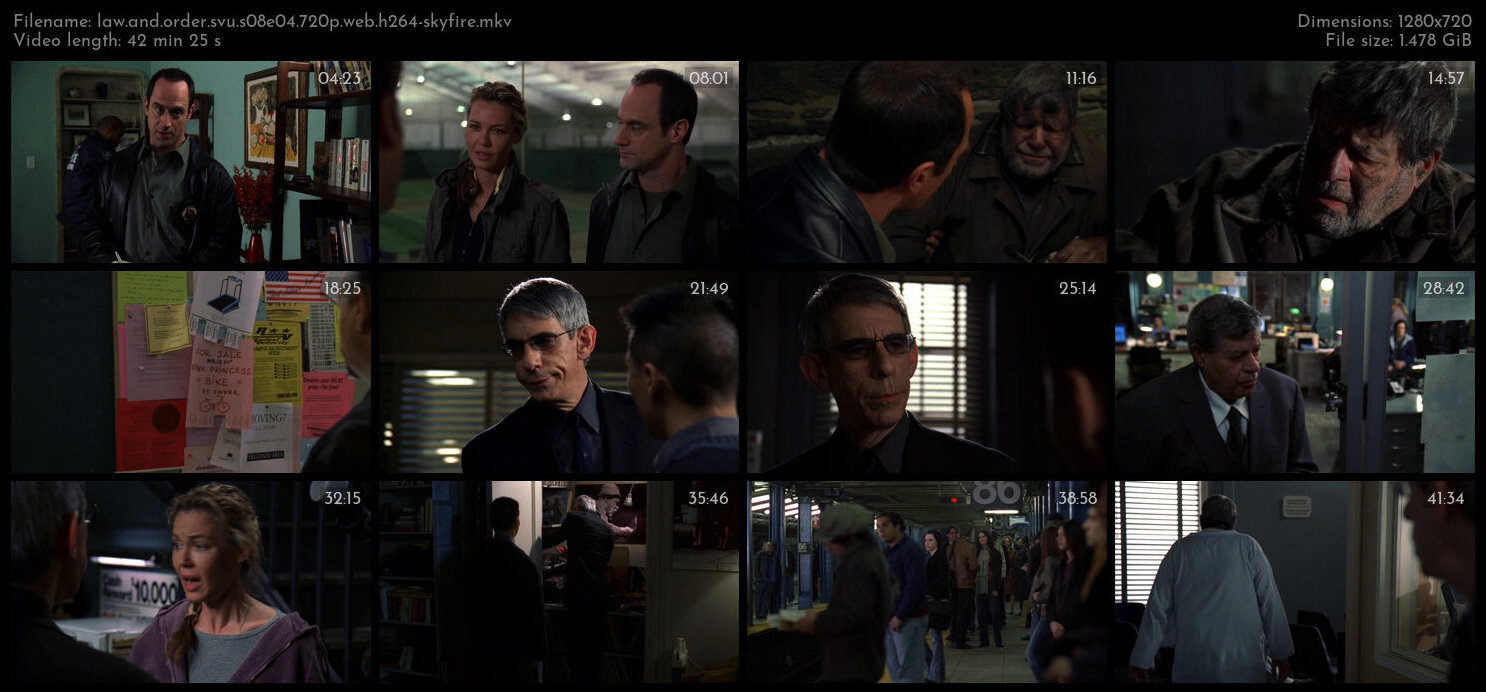 Law And Order SVU S08E04 720p WEB H264 SKYFiRE TGx