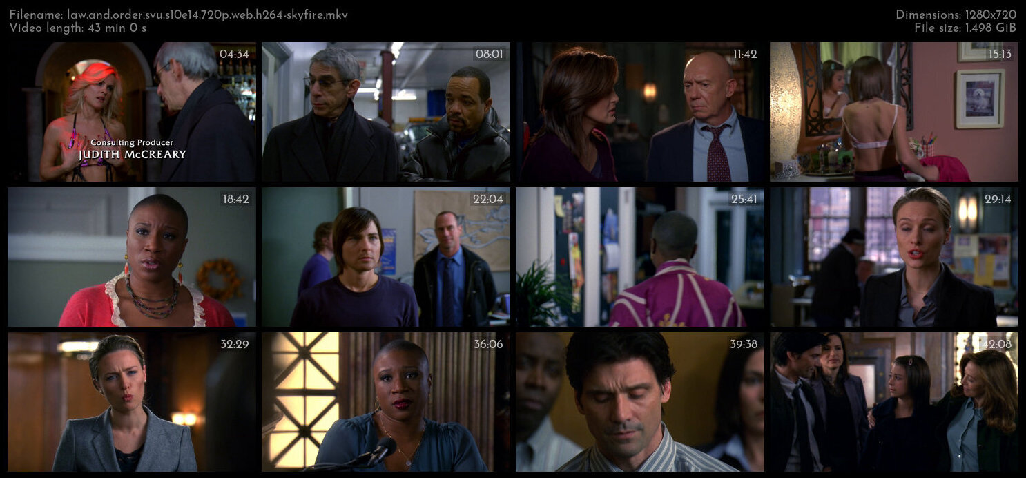 Law And Order SVU S10E14 720p WEB H264 SKYFiRE TGx