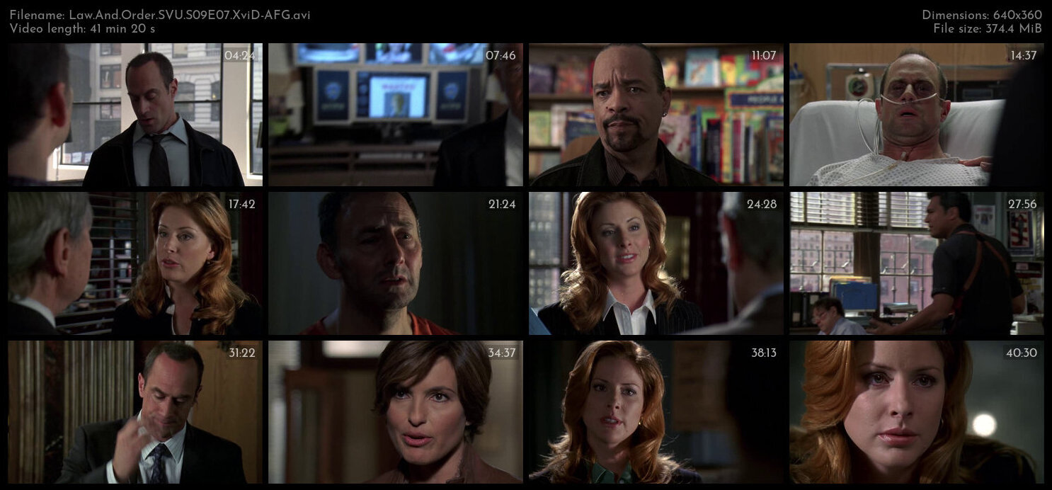 Law And Order SVU S09E07 XviD AFG TGx