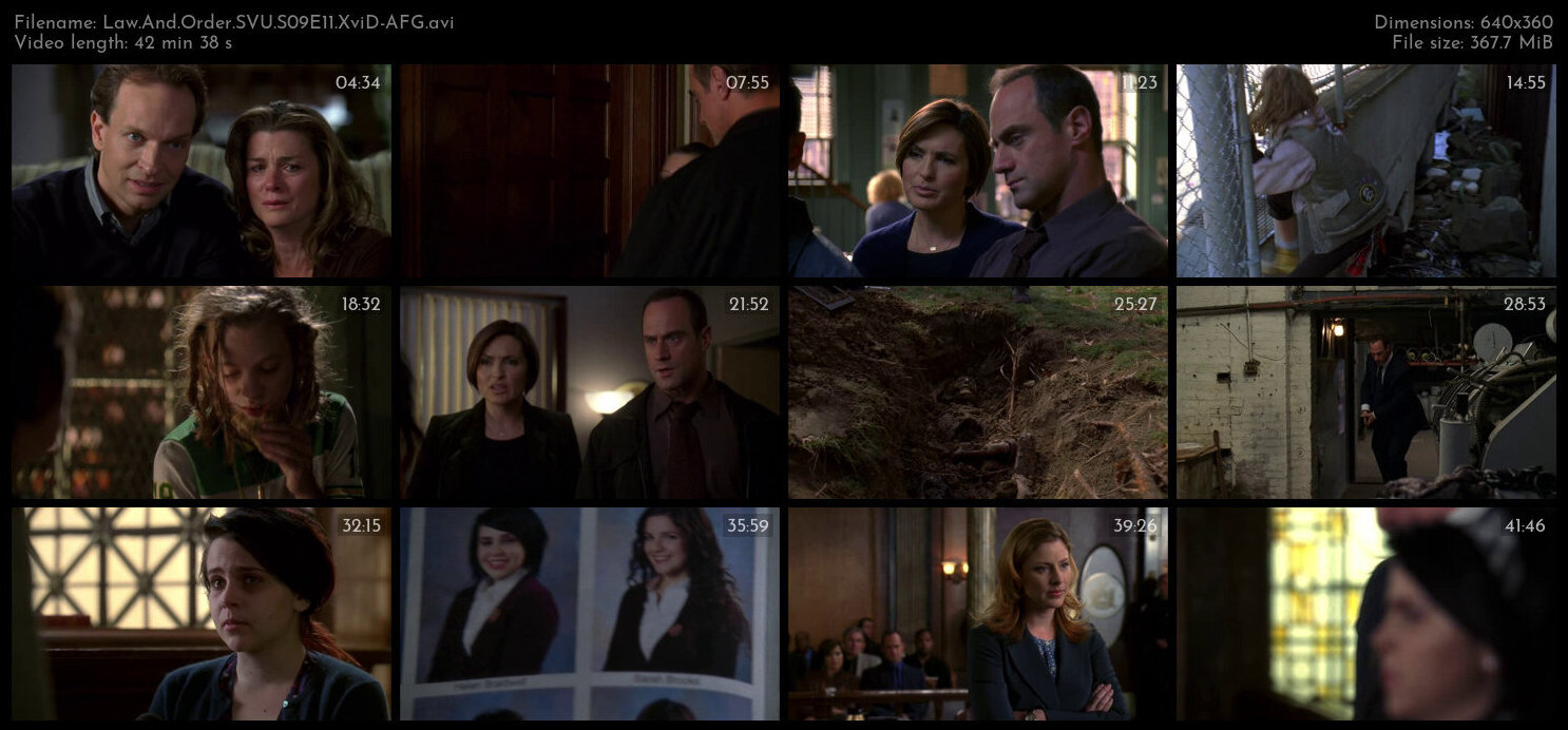 Law And Order SVU S09E11 XviD AFG TGx