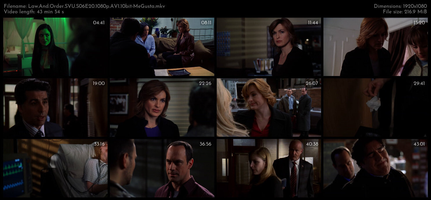 Law And Order SVU S06E20 1080p AV1 10bit MeGusta TGx